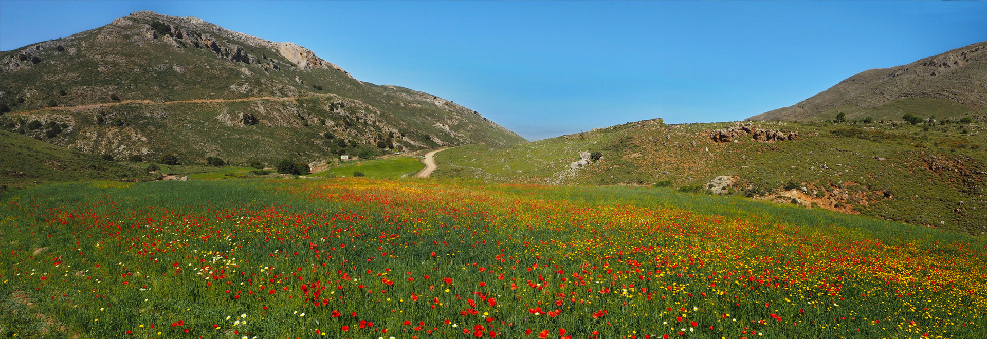 Virtual Pathways: Natural Ecosystems of the Eastern Mediterranean Sea