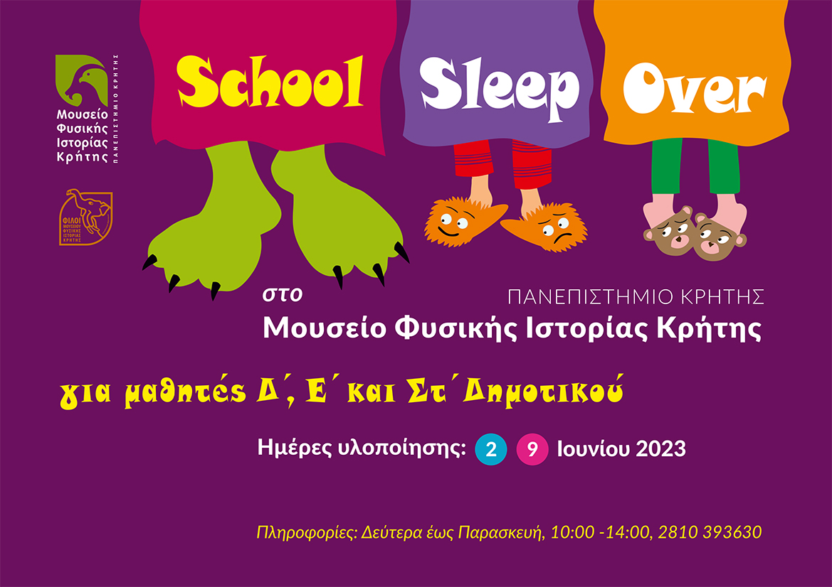 School Sleep Over