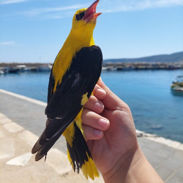 20230916_135005 20230916_135005