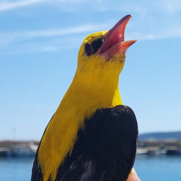 20230916_135005 20230916_135005