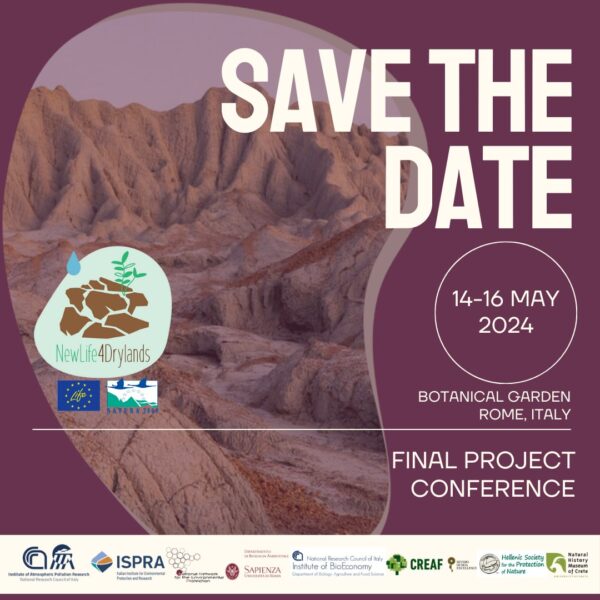 419244878_434238292489322_5048650380852514886_n 419244878_434238292489322_5048650380852514886_n