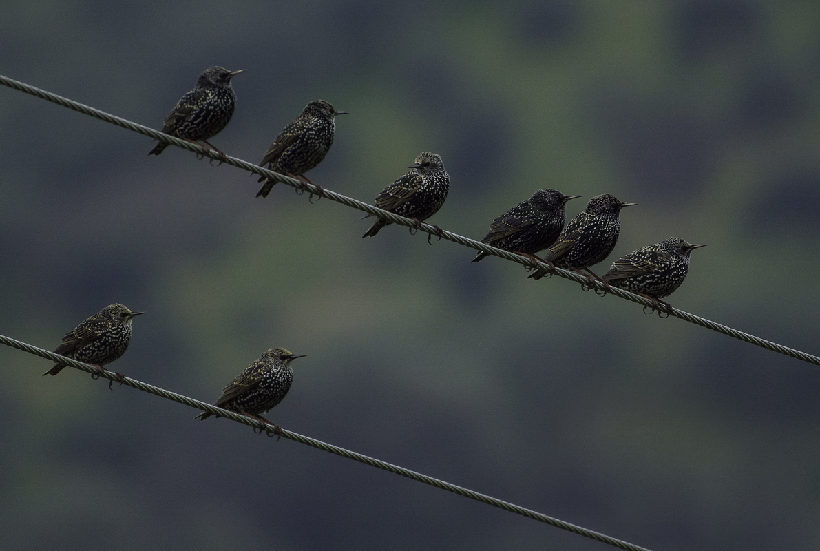 Μοιάζει να χορεύω, αλλά μήνυμα σου στέλνω